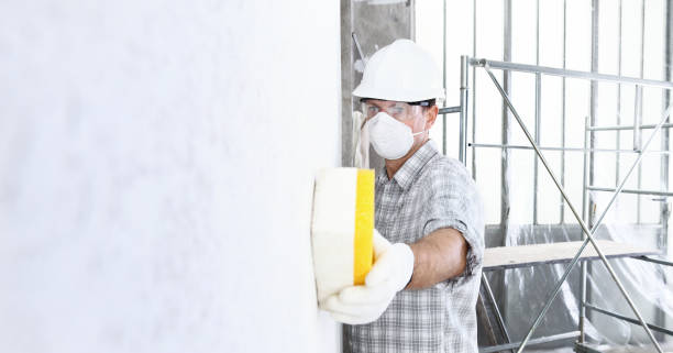 Professional Mold Removal & Remediation in Lake Alfred, FL